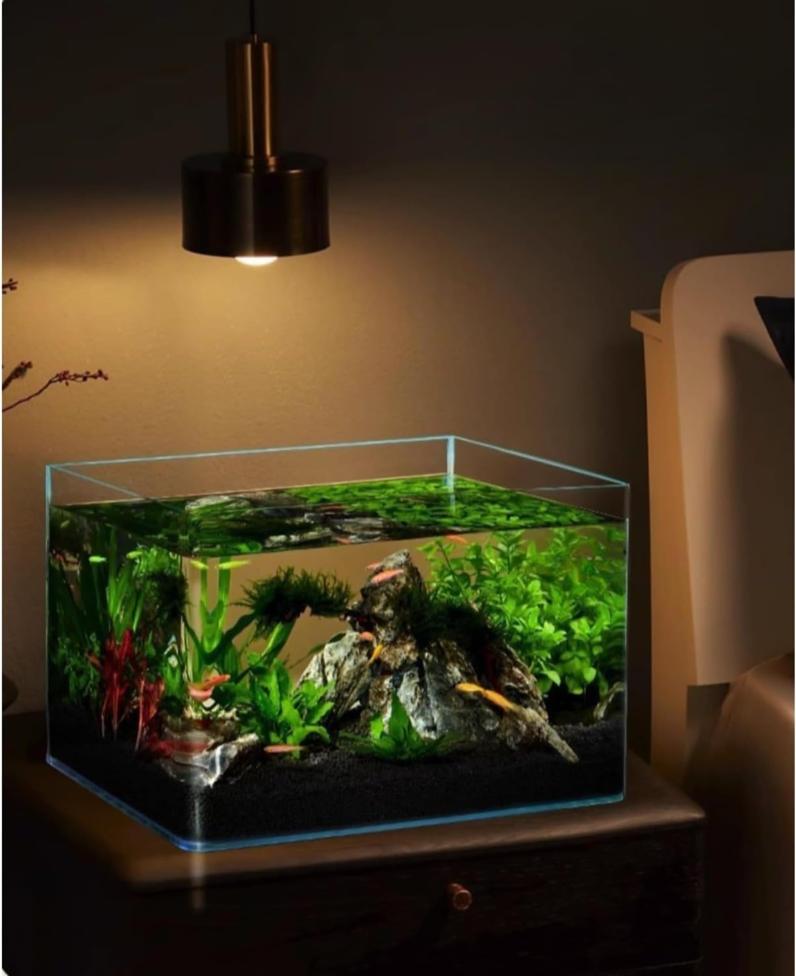 Amazon | Hufgiud ガラス金魚鉢 10L 大型 透明 ガラス容器 水族館 用